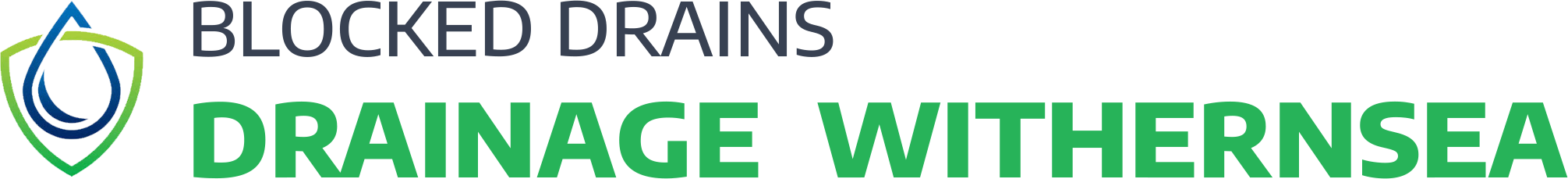 website logo